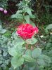IMGP0850