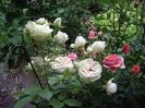 IMGP0878