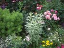 IMGP0882