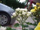 IMGP0898