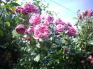 IMGP0927