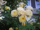 IMGP0938