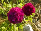 Sissinghurst Castle