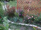 gradina ascunsa