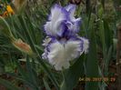 raziza-