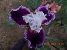 double agent-