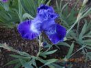 gods handiwork-