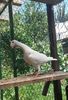 20170615_124020-1