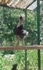 20170615_123856-1