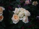 IMGP0980