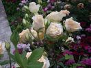 IMGP0985