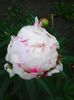 Photo0401