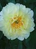 Photo0402