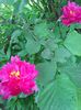 Photo0403