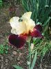 Photo0407