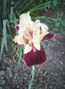 Photo0413