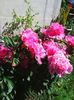 Photo0383