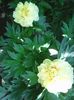 Photo0420