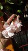 received_1346902335405429