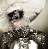 Lady-Gaga-120209-0001