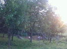 received_1783256851984971