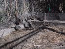 SAM_0104