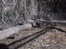 SAM_0105
