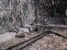 SAM_0106