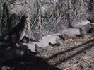 SAM_0107