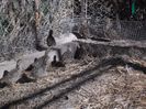 SAM_0108