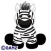 Zebra - pe nett
