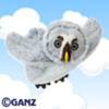 grey_owl