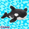 orca_whale
