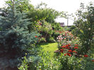 Picture 227