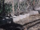 SAM_0116