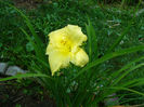 Hyperion