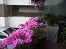 WIN_20170702_145653