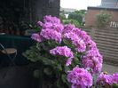 WIN_20170702_145712