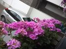 WIN_20170702_145838