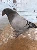 IMG-20170704-WA0002