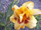 P1350097