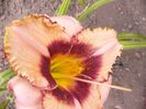 P1350131