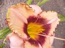 P1350132