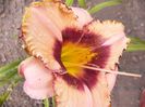 P1350133