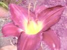 P1350157