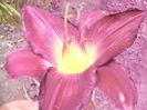 P1350158