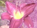 P1350159