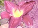 P1350160