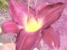 P1350161