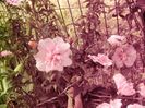 P1350203